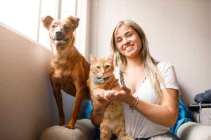 pet arrangements